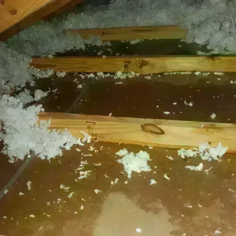 Attic Water Damage in Colby, WI