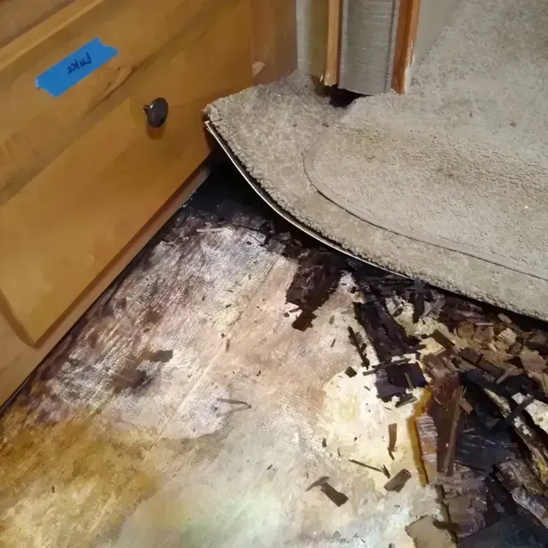 Best Wood Floor Water Damage Service in Colby, WI